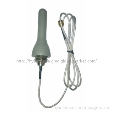 2dBi 3G Antenna With SMA Male Connector (factory)